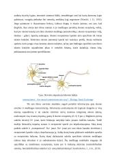 Skonis ir uoslė. Referatas 10 puslapis