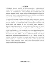 Skonis ir uoslė. Referatas 17 puslapis