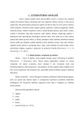 Skonis ir uoslė. Referatas 5 puslapis