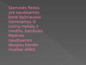 Įvairiausios pasaulio fleitos 2 puslapis