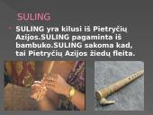 Įvairiausios pasaulio fleitos 8 puslapis