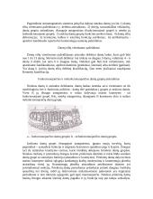 Stomatognatinės sistemos pokyčiai netekus dantų 2 puslapis