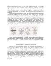 Stomatognatinės sistemos pokyčiai netekus dantų 6 puslapis