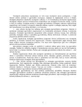 Strategijų įgyvendinimas: Strategijų įgyvendinimo programos. Užduotys. Išteklių pasiskirstymas. Kontrolė 3 puslapis