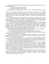 Strategijų įgyvendinimas: Strategijų įgyvendinimo programos. Užduotys. Išteklių pasiskirstymas. Kontrolė 5 puslapis