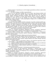 Strategijų įgyvendinimas: Strategijų įgyvendinimo programos. Užduotys. Išteklių pasiskirstymas. Kontrolė 6 puslapis