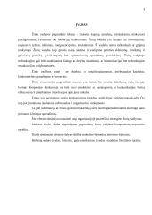 Strateginė žinių vadyba organizacijoje 3 puslapis