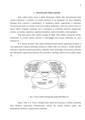 Strateginė žinių vadyba organizacijoje 4 puslapis