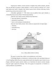 Strateginė žinių vadyba organizacijoje 5 puslapis