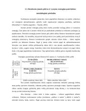 Strateginio planavimo praktika 12 puslapis