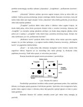 Strateginio planavimo praktika 13 puslapis