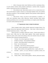 Strateginio planavimo praktika 17 puslapis