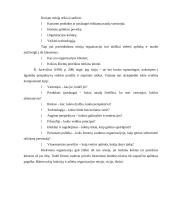 Strateginio planavimo praktika 18 puslapis