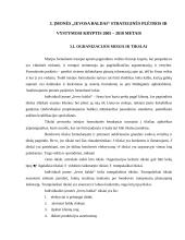 Strateginio planavimo praktika 19 puslapis