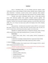 Strateginio planavimo praktika 3 puslapis