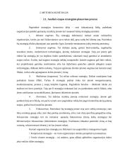 Strateginio planavimo praktika 7 puslapis
