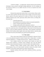 Strateginio planavimo praktika 8 puslapis