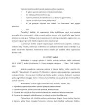 Strateginio planavimo praktika 9 puslapis