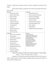 Strateginio planavimo praktika 10 puslapis