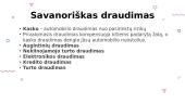 Draudimas (skaidrės) 14 puslapis