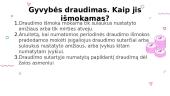 Draudimas (skaidrės) 3 puslapis