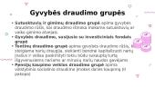 Draudimas (skaidrės) 4 puslapis
