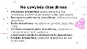 Draudimas (skaidrės) 5 puslapis