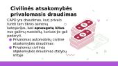 Draudimas (skaidrės) 9 puslapis