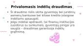 Draudimas (skaidrės) 10 puslapis