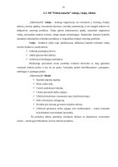 Strateginis planas: AB "Elektromarkt" 13 puslapis