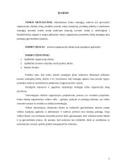 Strateginis planavimas ir valdymas 2 puslapis