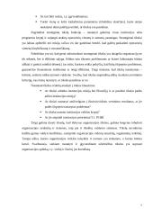 Strateginis planavimas ir valdymas 6 puslapis