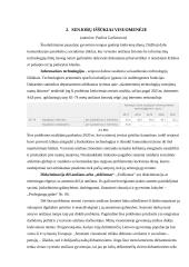 Senjorų padėtis ir iššūkiai visuomenėje 4 puslapis