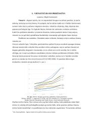 Senjorų padėtis ir iššūkiai visuomenėje 6 puslapis