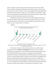 Senjorų padėtis ir iššūkiai visuomenėje 7 puslapis