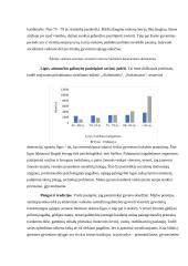 Senjorų padėtis ir iššūkiai visuomenėje 8 puslapis