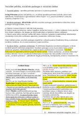 Socialinė gerovė. Konspektas 7 puslapis
