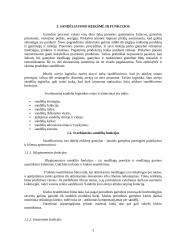 Strateginis sandėlių valdymas 3 puslapis