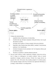 Strateginis vadovavimas: koncepcija 3 puslapis