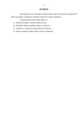 Strateginio valdymo mokslas bei jo raida 2 puslapis