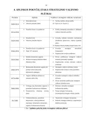 Strateginio valdymo mokslas bei jo raida 13 puslapis
