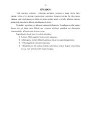 Strateginio valdymo mokslas bei jo raida 14 puslapis