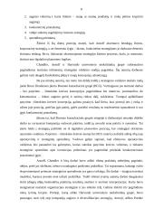 Strateginio valdymo mokslas bei jo raida 7 puslapis