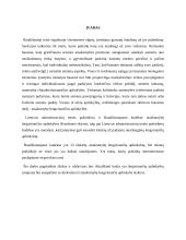 Atsakomybę lengvinančios aplinkybės 2 puslapis