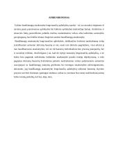 Atsakomybę lengvinančios aplinkybės 12 puslapis