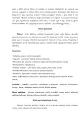 Stresas ir jo poveikis žmogui 5 puslapis