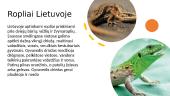 Skaidrės apie roplius 2 puslapis