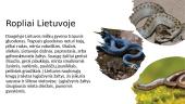 Skaidrės apie roplius 3 puslapis