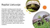Skaidrės apie roplius 4 puslapis