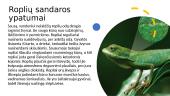 Skaidrės apie roplius 5 puslapis